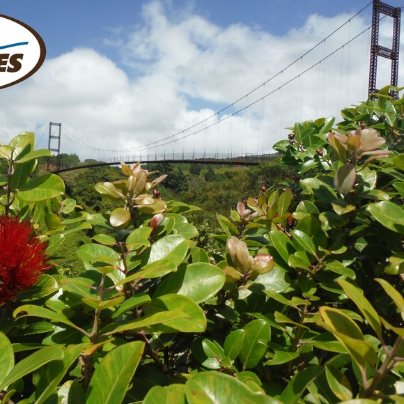 Meet your Posher, Angelina - Picture 1 of 1